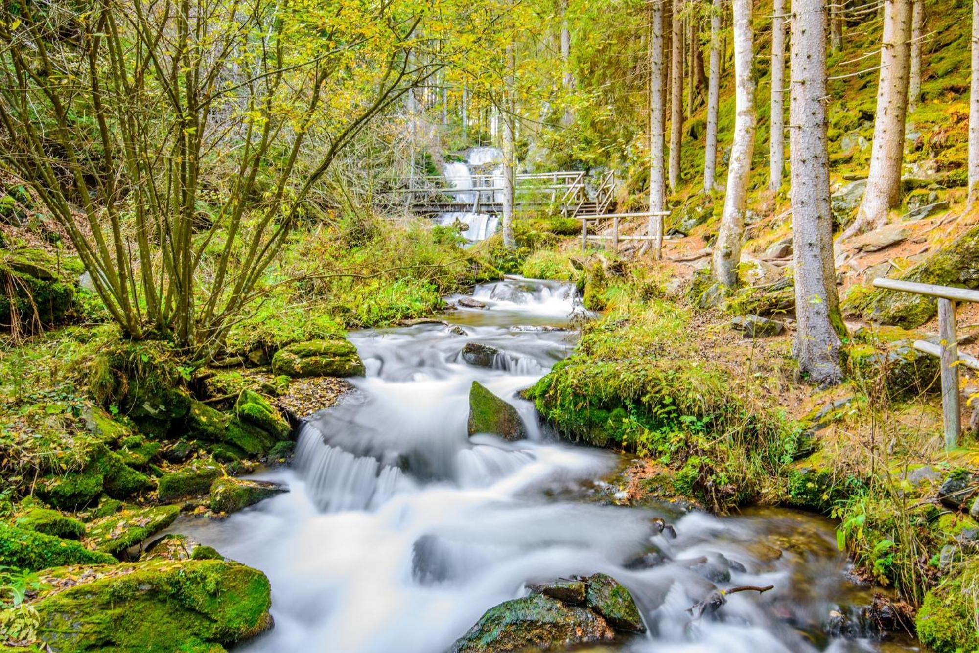 Ferienpark Kreischberg By Alps Resorts Санкт-Лоренцен-об-Мурау Экстерьер фото